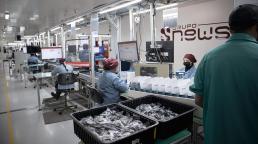 Newsan comenzó la producción de teléfonos celulares Noblex en su fábrica en Ushuaia