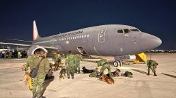 Perros rescatistas de México viajan a Turquía y Siria para ayudar a encontrar personas en escombros