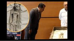 Presentan dos cuerpos no humanos en el Congreso de México y piden reconocer la vida extraterrestre