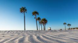  St. PeteClearwater es el destino perfecto que combina el esplendor del clima, playas deslumbrantes, puestas de sol inolvidables y una naturaleza exuberante. ¡Prepárate para unas vacaciones increíbles!