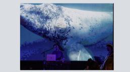 "Ballena Franca Austral, bien argentina": Charla y experiencia sensorial en la ciudad de Buenos Aires