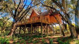 Bonnet Springs Park Un oasis de naturaleza, arte y recreación en el corazón de Lakeland, cerca de Orlando