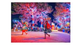 SeaWorld San Diego ilumina las fiestas con una nueva y mágica celebración navideña