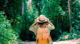 Consumers in favour of sustainable travel but cost is king, reveals WTTC report