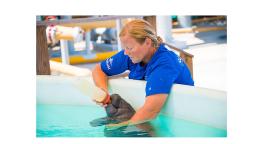 United Parks & Resorts revela el número de rescates de animales realizados en 2024