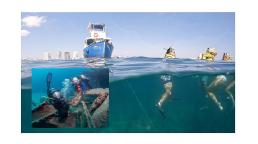 Sea Experience: La aventura marina imperdible en Fort Lauderdale