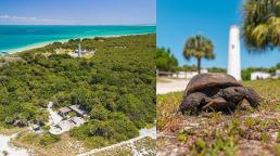St. Pete-Clearwater Egmont Key State Park reabre sus puertas tras meses de recuperación 