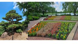 A Walk Through a Green Paradise: Serenity and Beauty at the Chicago Botanic Garden