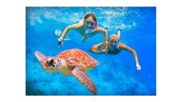 Tintamarre: paraíso del snorkel y joya natural del Caribe en Saint Martin