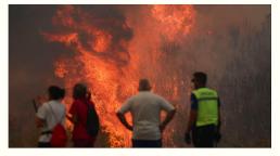 España en llamas: más de 250.000 hectáreas arrasadas por incendios incontrolables provocados por el calor extremo
