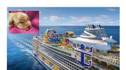 Revelan la incorporación de Skipper, la nueva y más adorable Oficial Canina en Royal Caribbean.