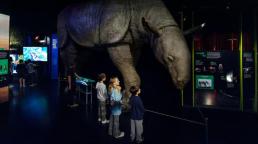The End of the Age of Dinosaurs será la gran atracción del American Museum of Natural History en 2026.  (Crédito: Alvaro Keding y Daniel Kim / AMNH)