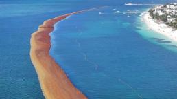 Royal Caribbean invierte en un programa de gestión de sargazo a largo plazo para proteger el litoral de Mahahual, Quintana Roo.