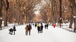 U.S. Travel Starts 2026 on Stable Ground Despite Weak International Inbound Demand.