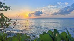 Royal Caribbean anuncia nuevo acceso público a la playa en Cozumel como parte del Royal Beach Club.