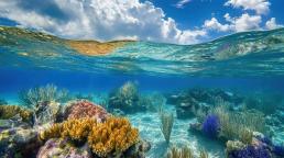 CHTA and CAST Mark Earth Day 2026 with Call for Collective Caribbean Action.