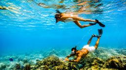 Snorkel en Aruba: la experiencia sustentable que propone Bucuti &amp; Tara entre arrecifes de coral y aguas cristalinas