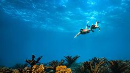 Aruba invita a redescubrir las vacaciones de invierno en familia con experiencias que dejan huella.