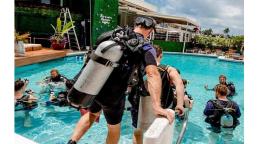 De la piscina al océano en un solo día: la experiencia que permite aprender a bucear y explorar los arrecifes y naufragios de Pompano Beach.