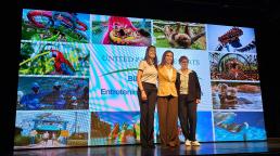 United Parks &amp; Resorts apresenta novidades para a América Latina em Buenos Aires: novas atrações, ingressos e conservação animal.