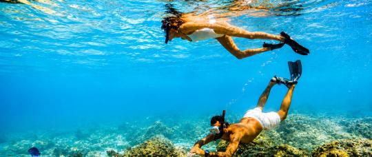 Snorkel en Aruba: la experiencia sustentable que propone Bucuti &amp; Tara entre arrecifes de coral y aguas cristalinas