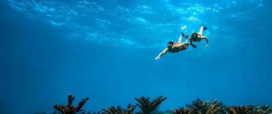 Aruba convida as famílias a redescobrir as férias de inverno com experiências inesquecíveis.