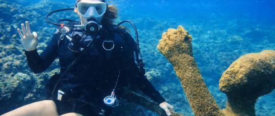 Grenada: O Primeiro Parque de Esculturas Submarinas do Mundo Atrai Mergulhadores de Todo o Planeta.