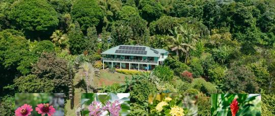 Granada vai sediar seu primeiro Festival de Flores e Jardins, de 8 a 15 de novembro.