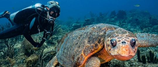 10 razões para visitar Pompano Beach praias, gastronomia, natureza e experiências únicas no sul da Flórida.