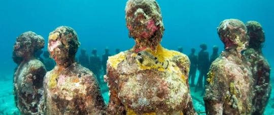 Granada celebra la quinta edición de su Festival de Buceo y Conservación.